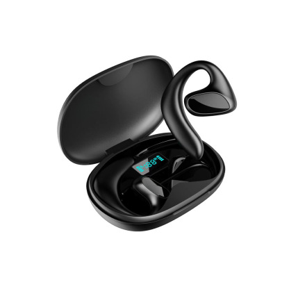 Language Translator Earbuds